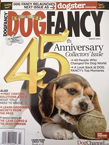 DOG FANCY- E-COMMERCE STORE FOR CAT PRODUCTS -TRADEMARK FOR SALE – RETO IS HOT