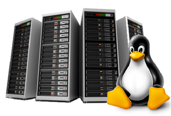 Hosting for Forums – 💬Lightning-Fast SSD SSL, Unlimited Emails | Just $14.99/Yr