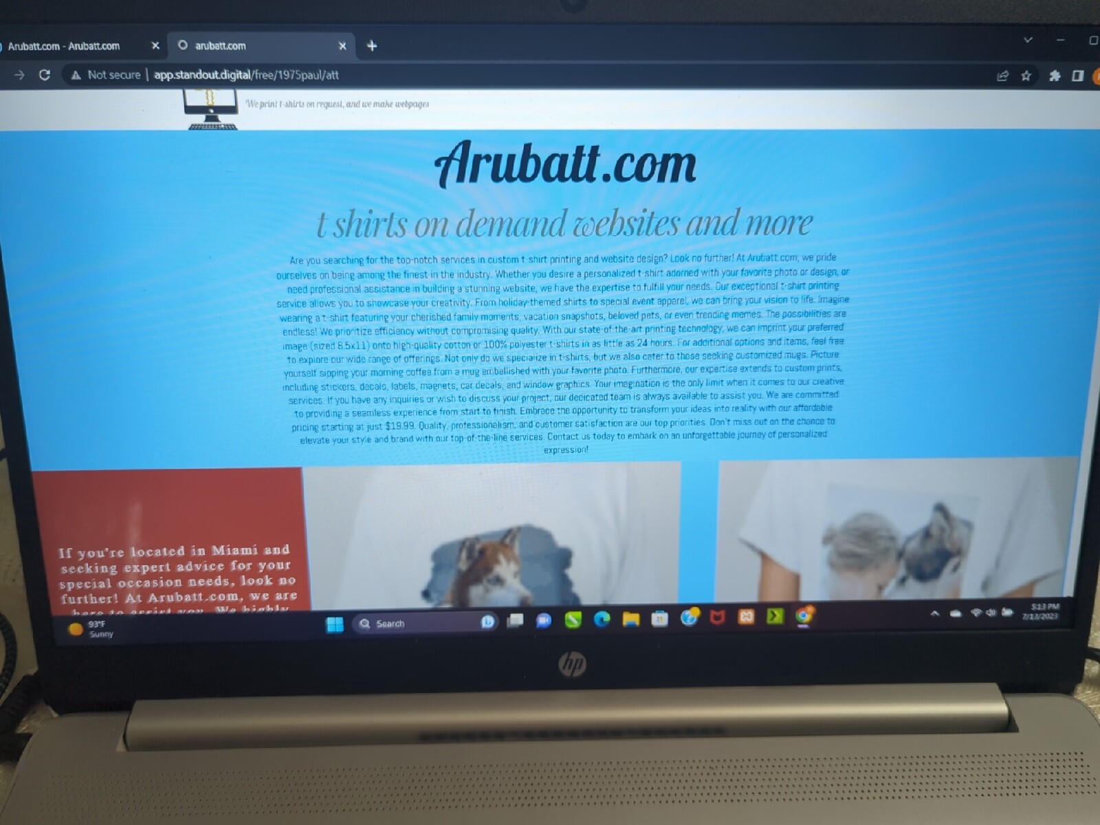 Websites Designer