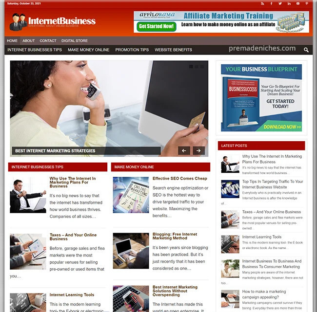 Pre Made Online Business Blog with a Unique Design internet marketing niche