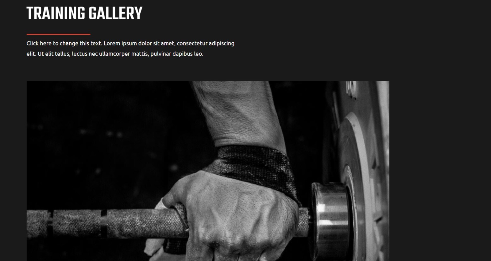 Custom WordPress Website – Gym/Wellness