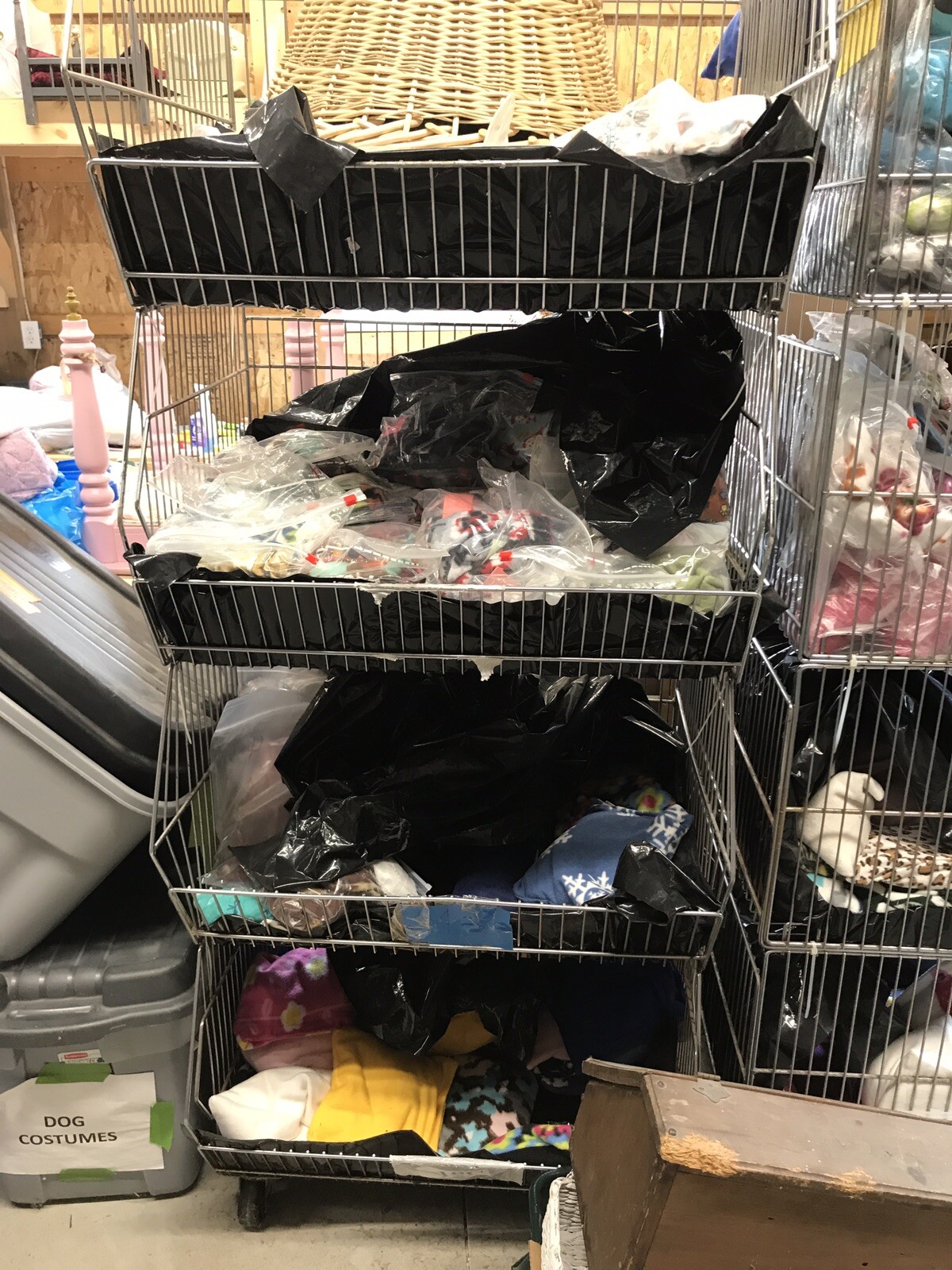 Liquidating online pet supplies store