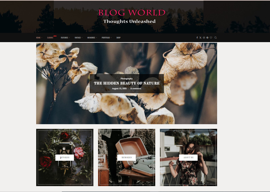 Make Money with an All-in-One Blog Website – Free Hosting & Setup!